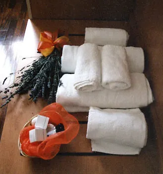 Giada Palace - Rooms Lucca Aparthotel